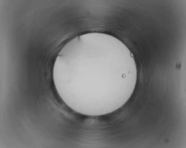 X0000113180211200910161340