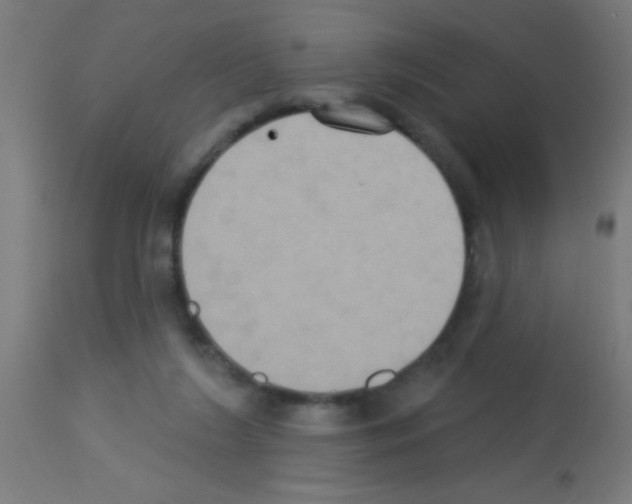 X0000113180212200910161340