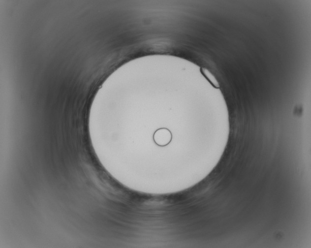 X0000113180213200910161340