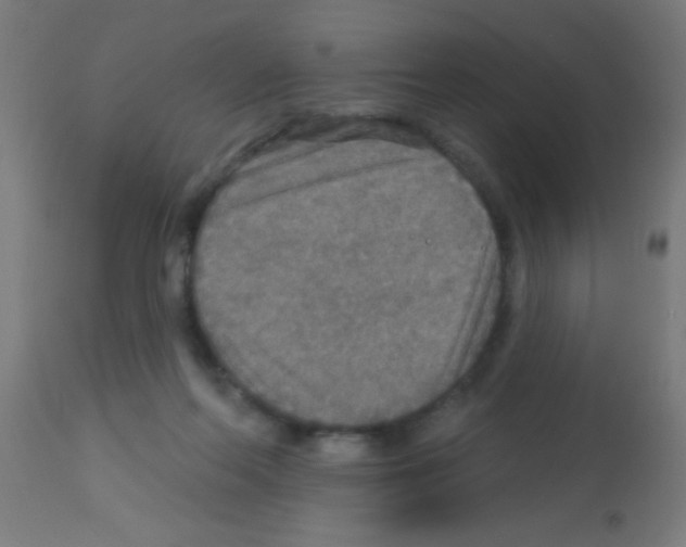 X0000113180214200910161340