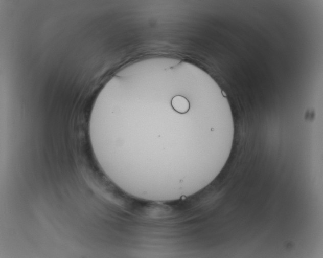X0000113180215200910161340