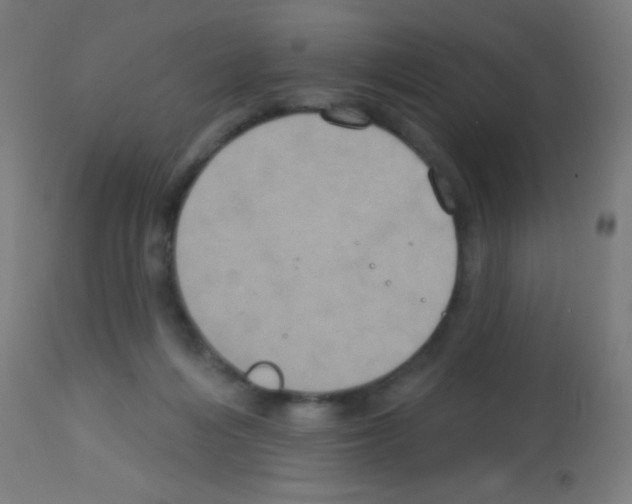 X0000113180216200910161340