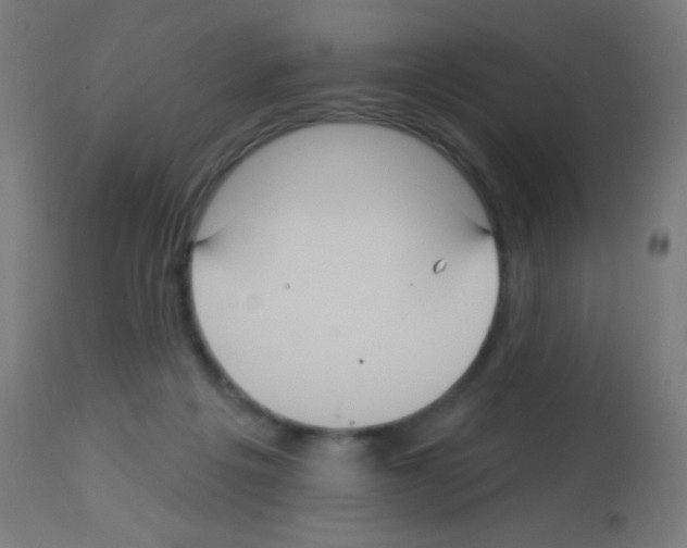 X0000113180217200910161340