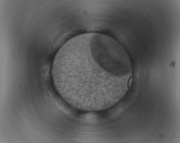 X0000113180219200910161340