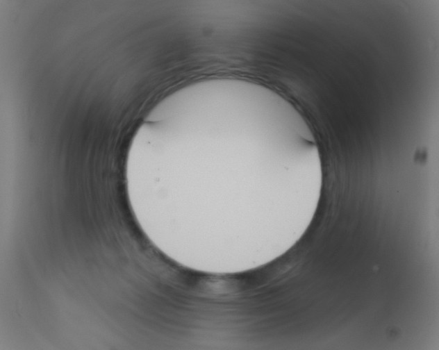 X0000113180221200910161340