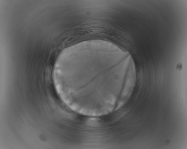 X0000113180222200910161340