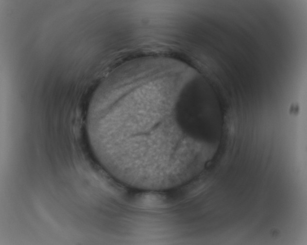 X0000113180223200910161340