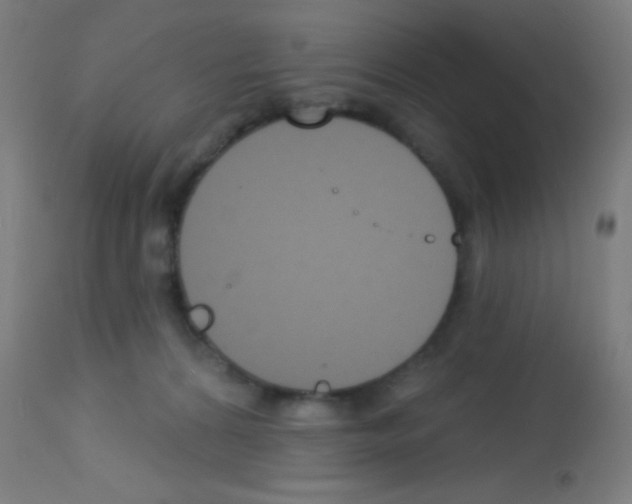X0000113180224200910161340