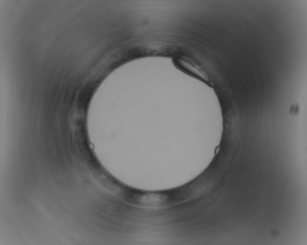 X0000113180225200910161340