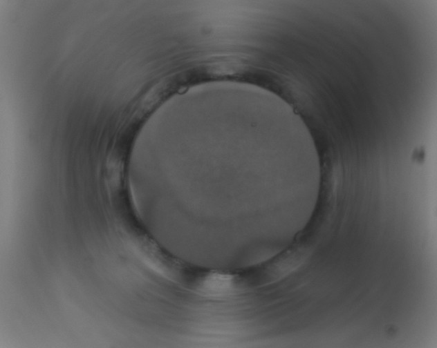 X0000113180227200910161340