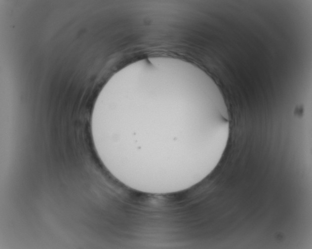 X0000113180229200910161340