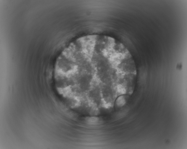 X0000113180230200910161339