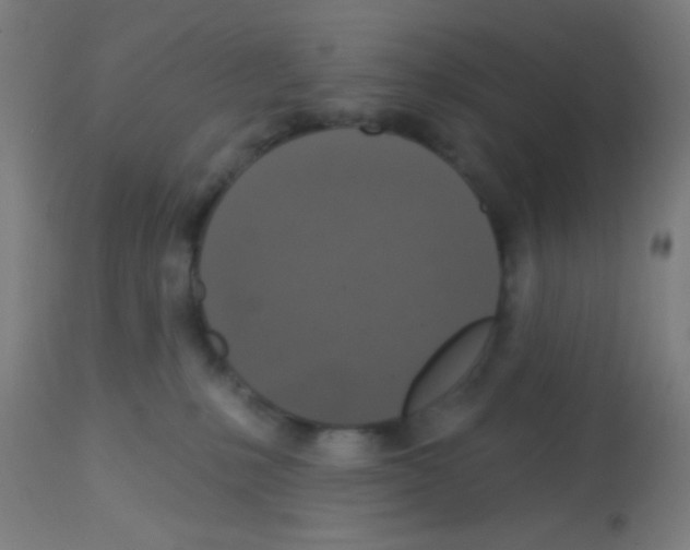 X0000113180231200910161339
