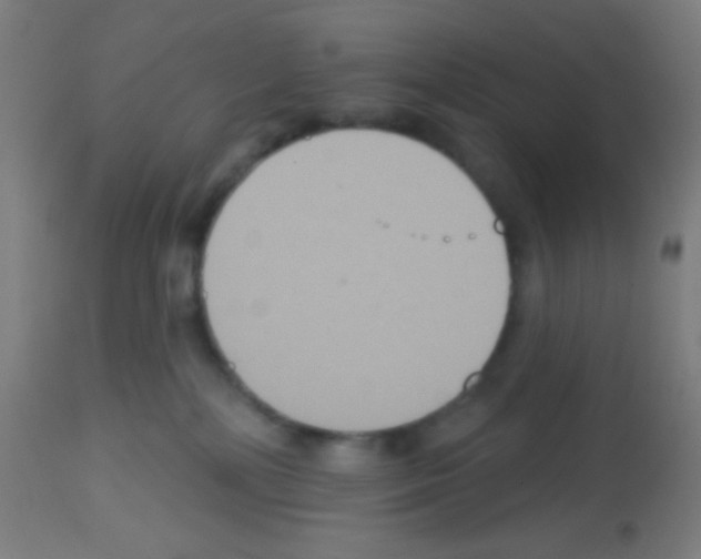 X0000113180232200910161339