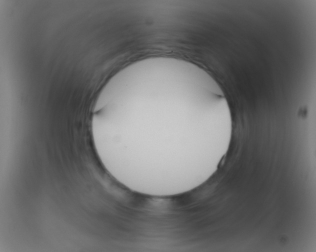 X0000113180233200910161339