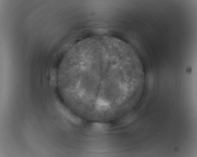 X0000113180234200910161339