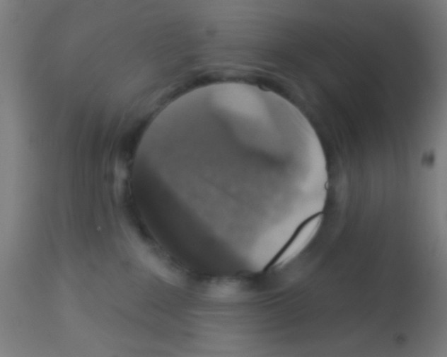 X0000113180235200910161339