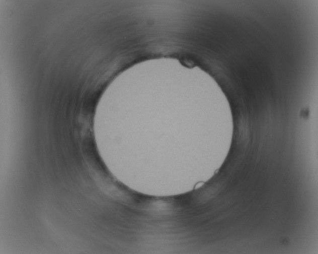 X0000113180236200910161339
