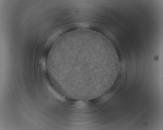 X0000113180238200910161339