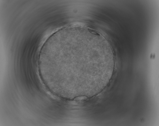 X0000113180241200910161338