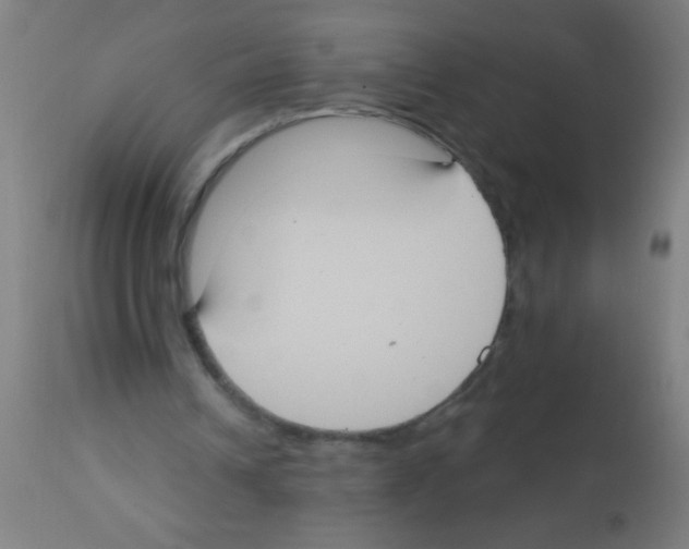 X0000113180242200910161338