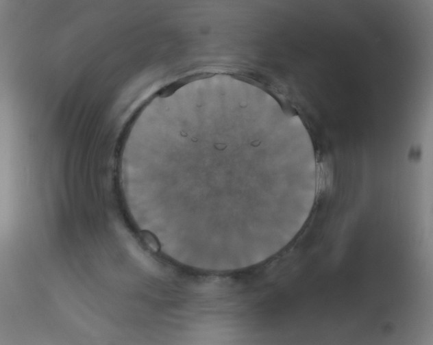 X0000113180243200910161338