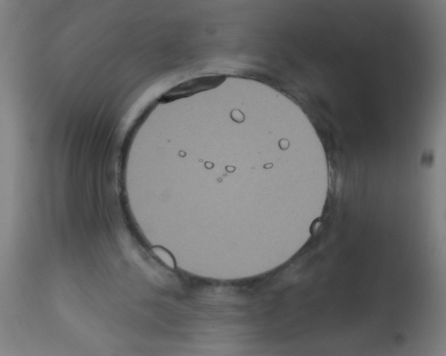X0000113180244200910161338