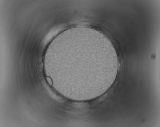 X0000113180245200910161338