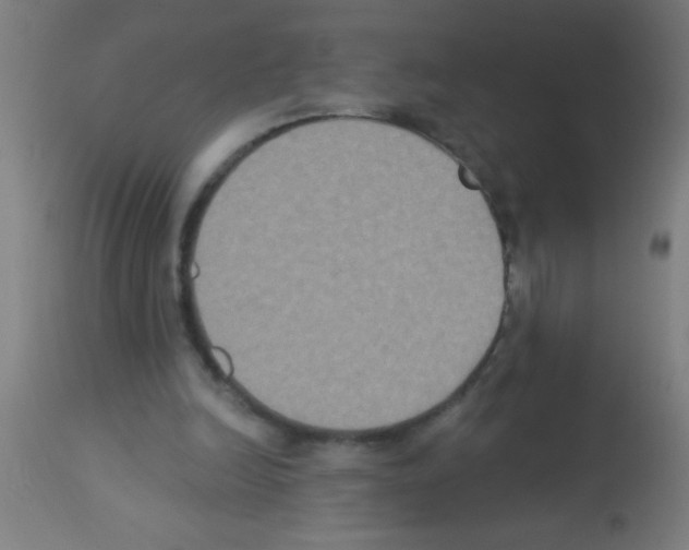 X0000113180246200910161338