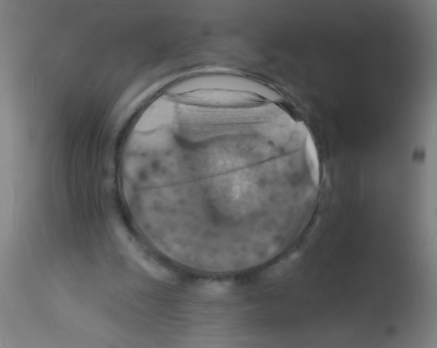 X0000113180247200910161339