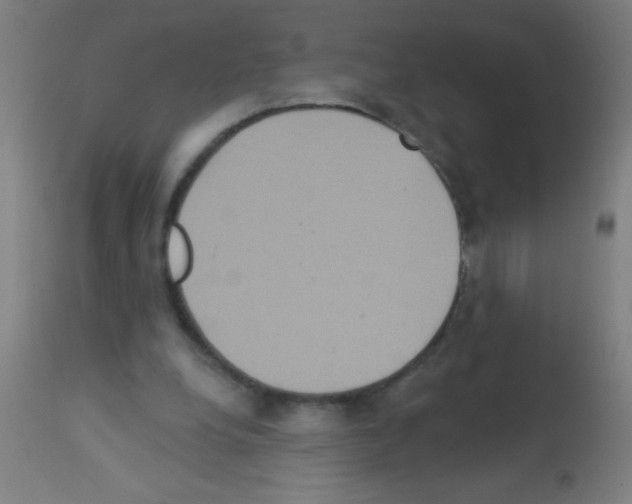 X0000113180248200910161339