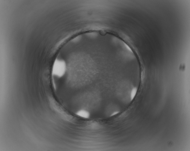 X0000113180249200910161339