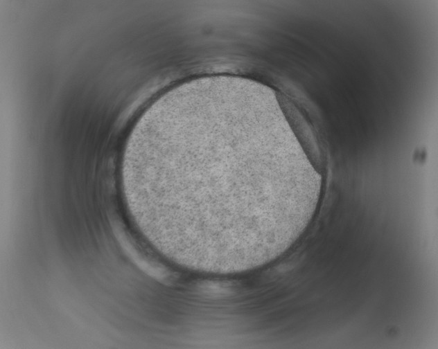 X0000113180250200910161339