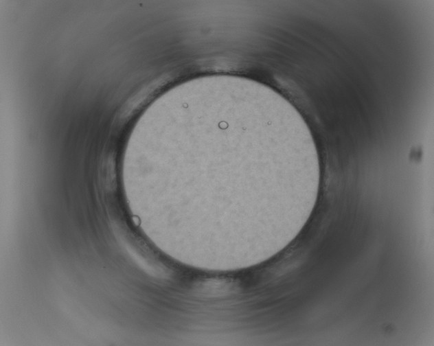 X0000113180251200910161339
