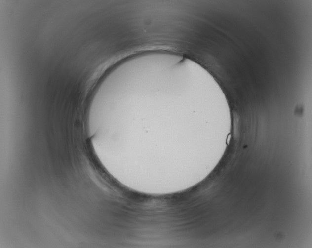 X0000113180252200910161339