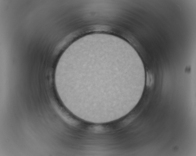 X0000113180253200910161339