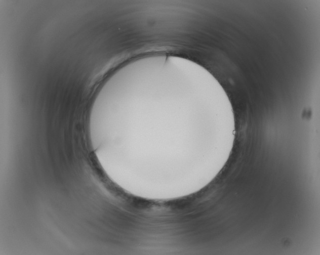 X0000113180256200910161339