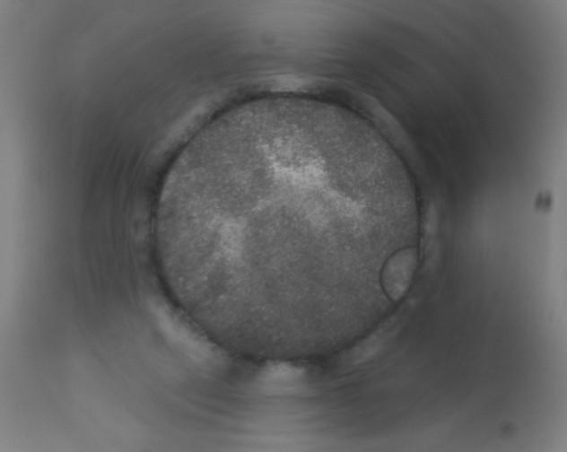 X0000113180257200910161339
