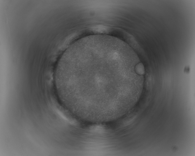 X0000113180259200910161339