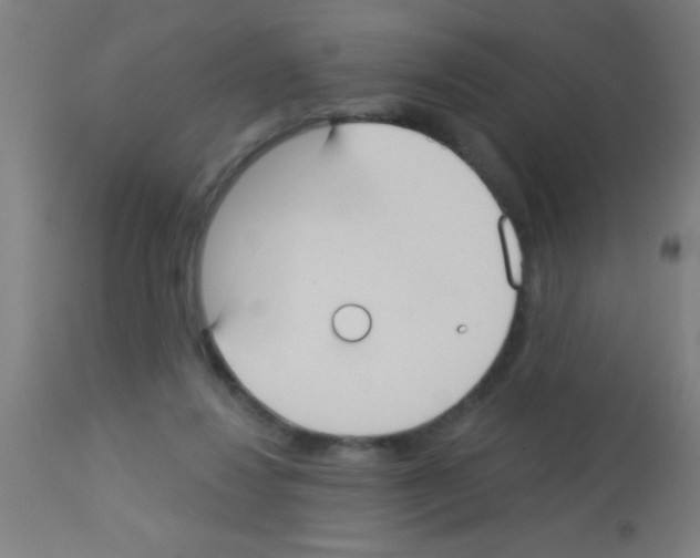X0000113180260200910161339