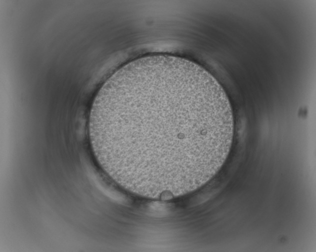 X0000113180261200910161339