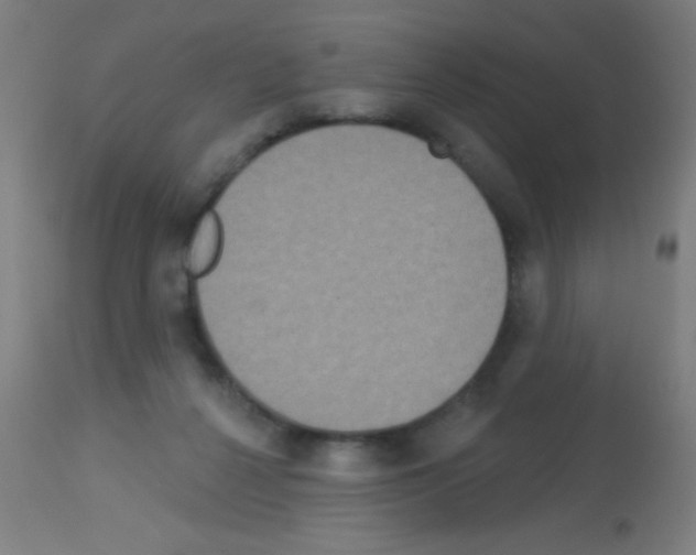 X0000113180264200910161339