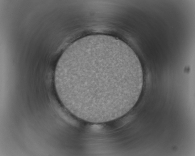 X0000113180265200910161339