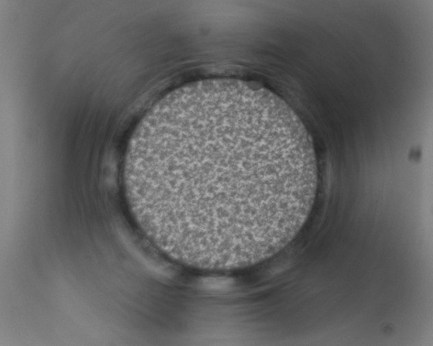 X0000113180266200910161339