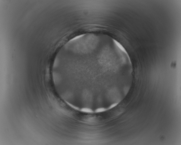 X0000113180267200910161339