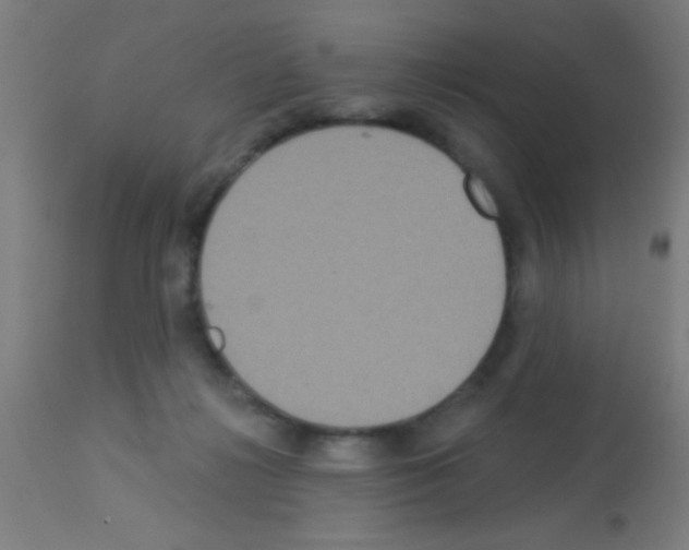 X0000113180268200910161339