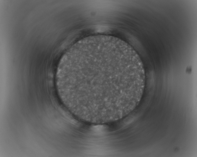 X0000113180269200910161339