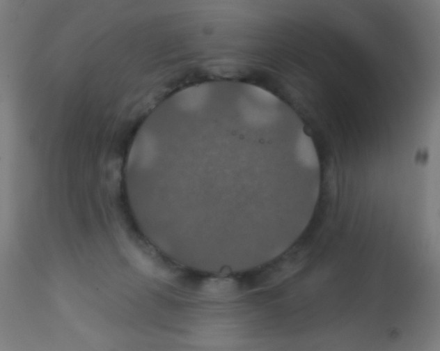 X0000113180271200910161339