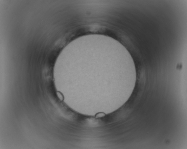 X0000113180272200910161339