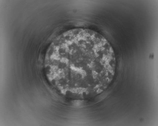 X0000113180273200910161339